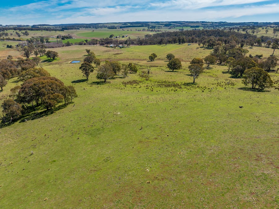 5353 Trunkey Road, Trunkey Creek, NSW, 2795 - Image 30