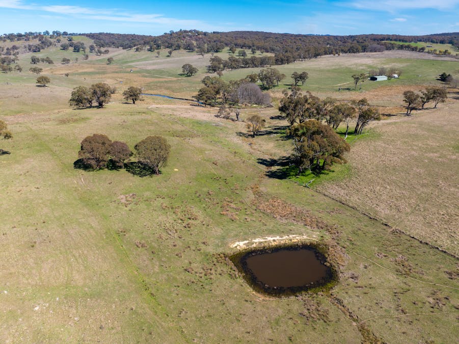 5353 Trunkey Road, Trunkey Creek, NSW, 2795 - Image 16