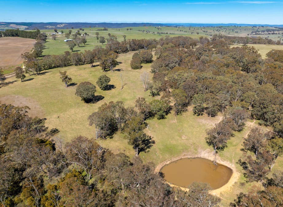 5353 Trunkey Road, Trunkey Creek, NSW, 2795 - Image 18