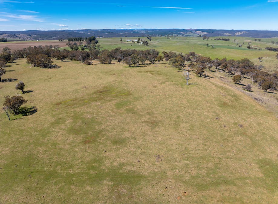 5353 Trunkey Road, Trunkey Creek, NSW, 2795 - Image 31