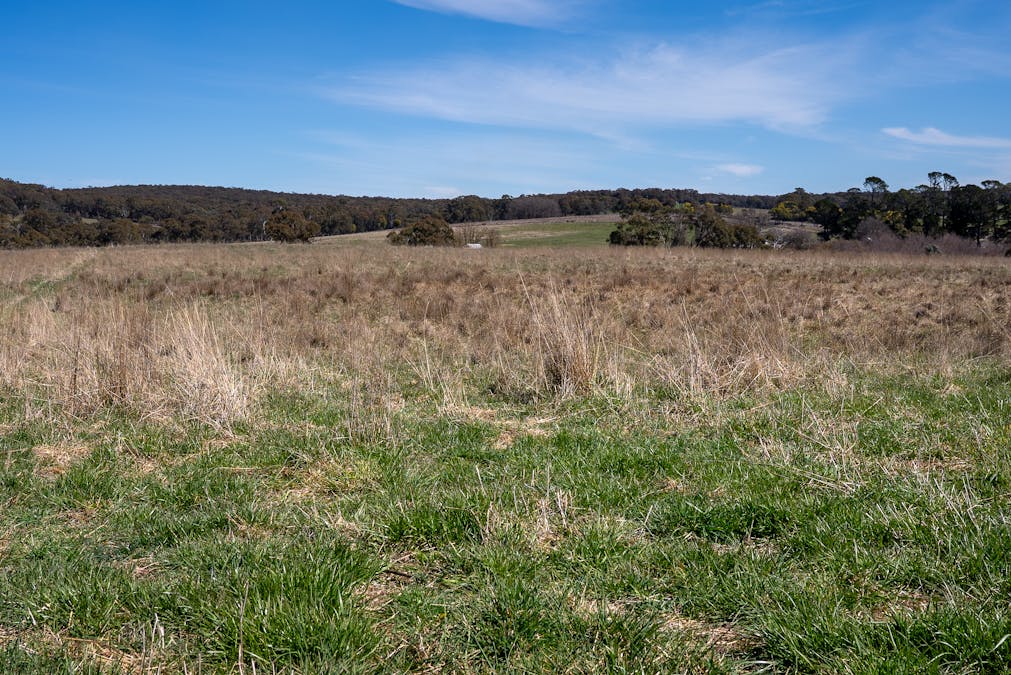 5353 Trunkey Road, Trunkey Creek, NSW, 2795 - Image 32