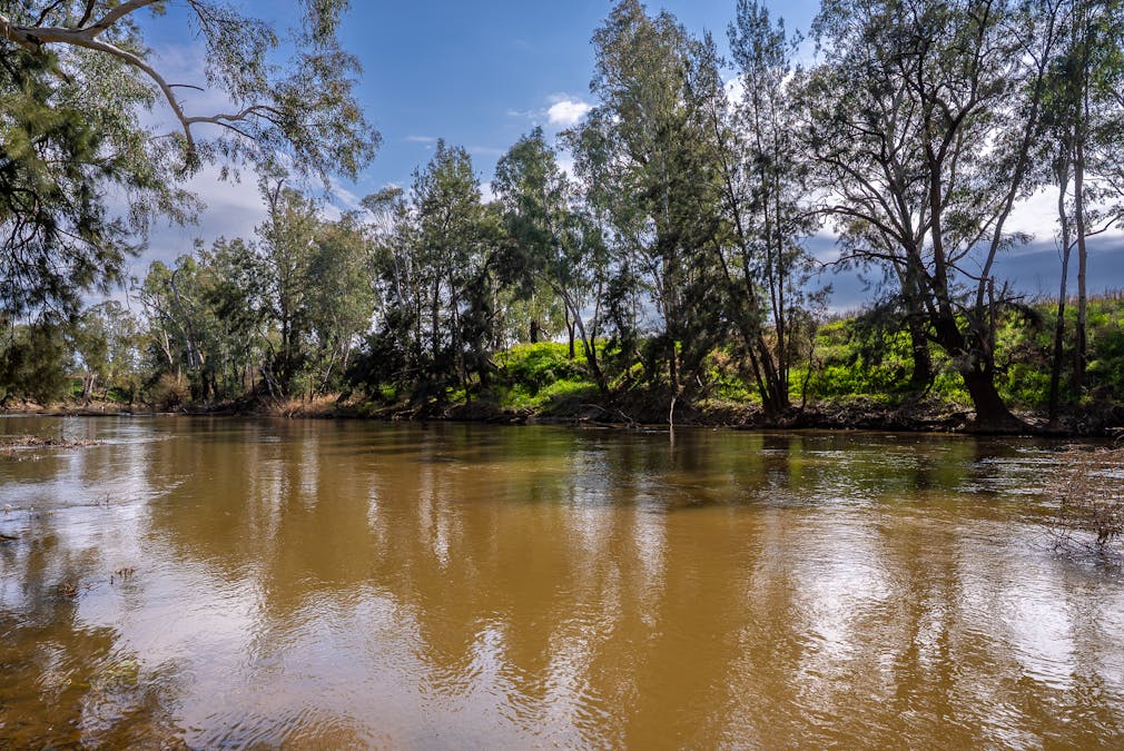 'Bydawhile' Lachlan Valley Way, Cowra, NSW, 2794 - Image 3