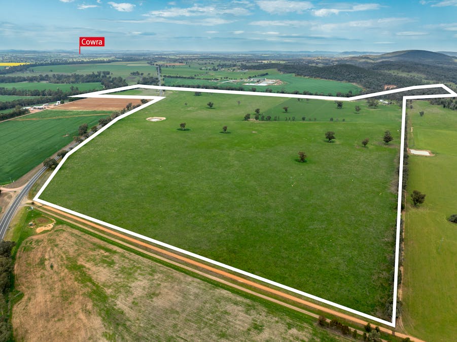'Bydawhile' Lachlan Valley Way, Cowra, NSW, 2794 - Image 4
