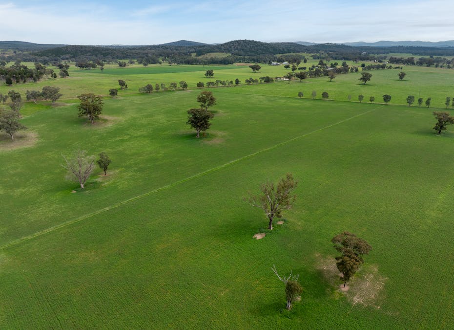 'Bydawhile' Lachlan Valley Way, Cowra, NSW, 2794 - Image 22