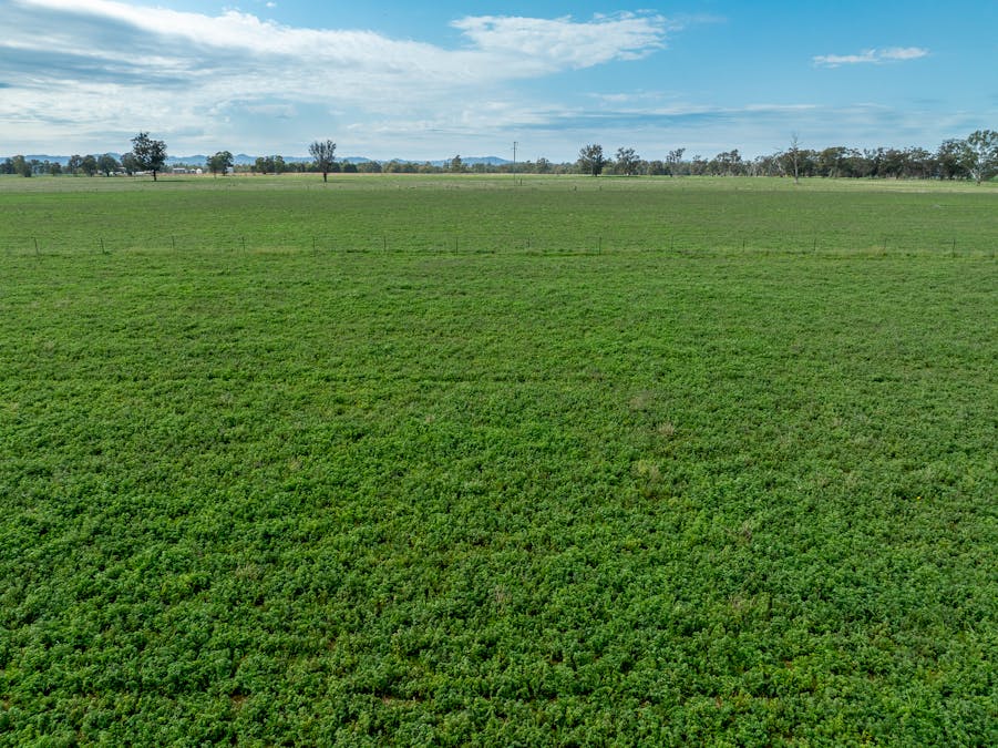 'Bydawhile' Lachlan Valley Way, Cowra, NSW, 2794 - Image 23