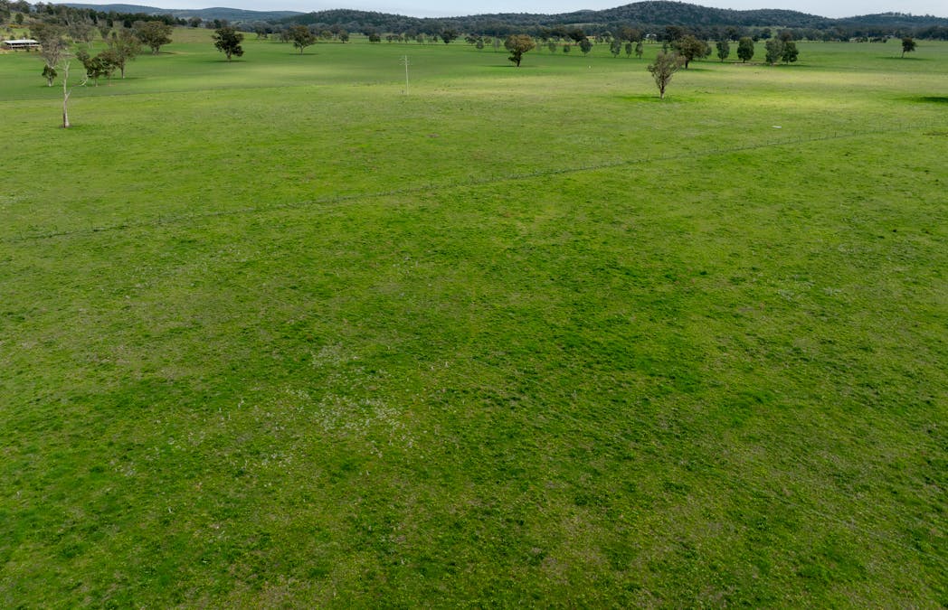 'Bydawhile' Lachlan Valley Way, Cowra, NSW, 2794 - Image 24