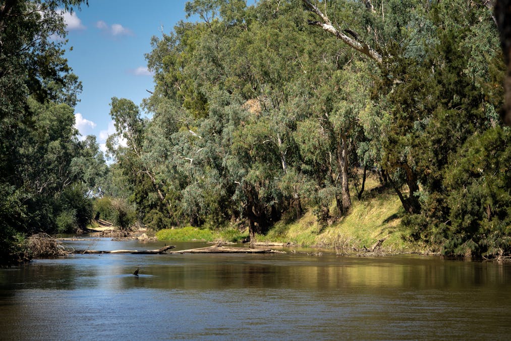 'Bydawhile' Lachlan Valley Way, Cowra, NSW, 2794 - Image 28