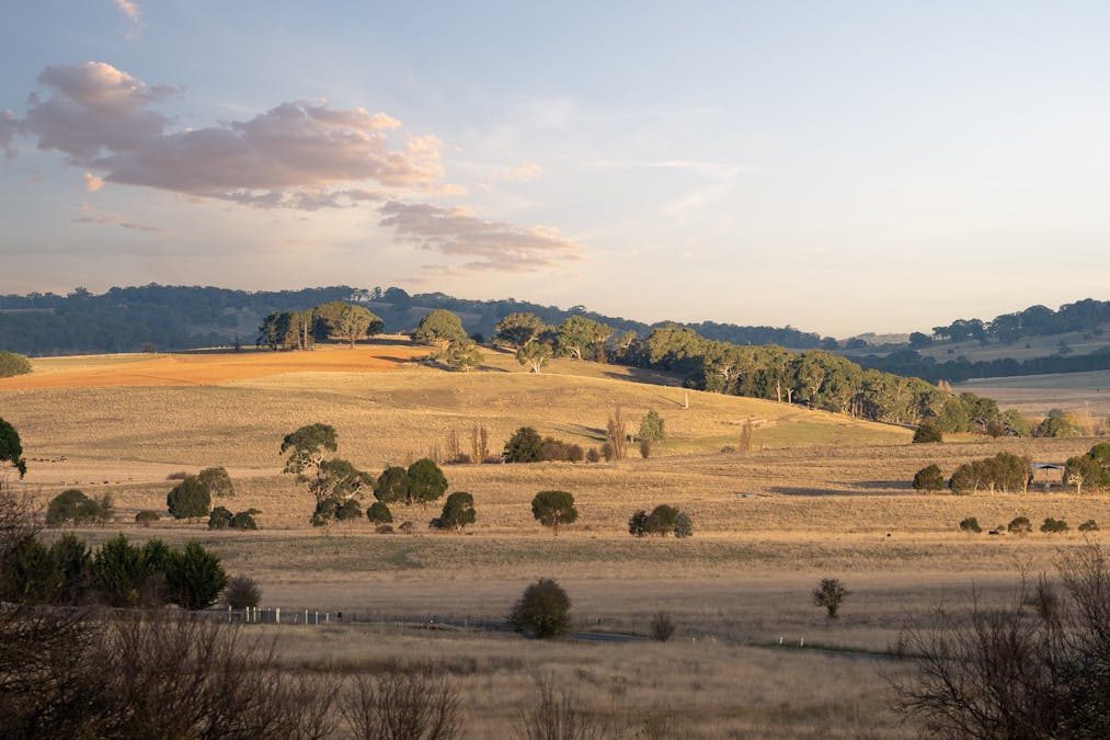 39 East Guyong Road, Guyong, NSW, 2798 - Image 32