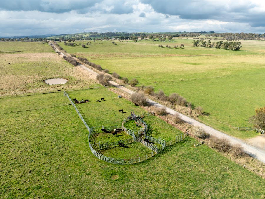 39 East Guyong Road, Guyong, NSW, 2798 - Image 28