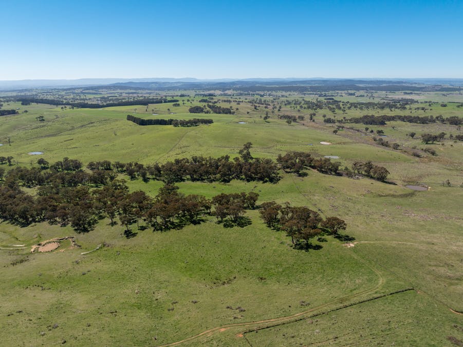 242 Bundaleer Road, Newbridge, NSW, 2795 - Image 12