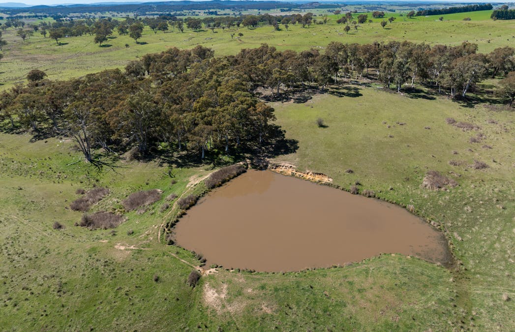 242 Bundaleer Road, Newbridge, NSW, 2795 - Image 17