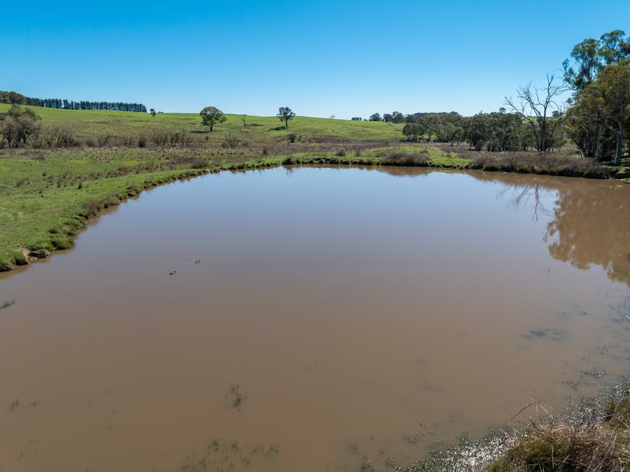 242 Bundaleer Road, Newbridge, NSW, 2795 - Image 8