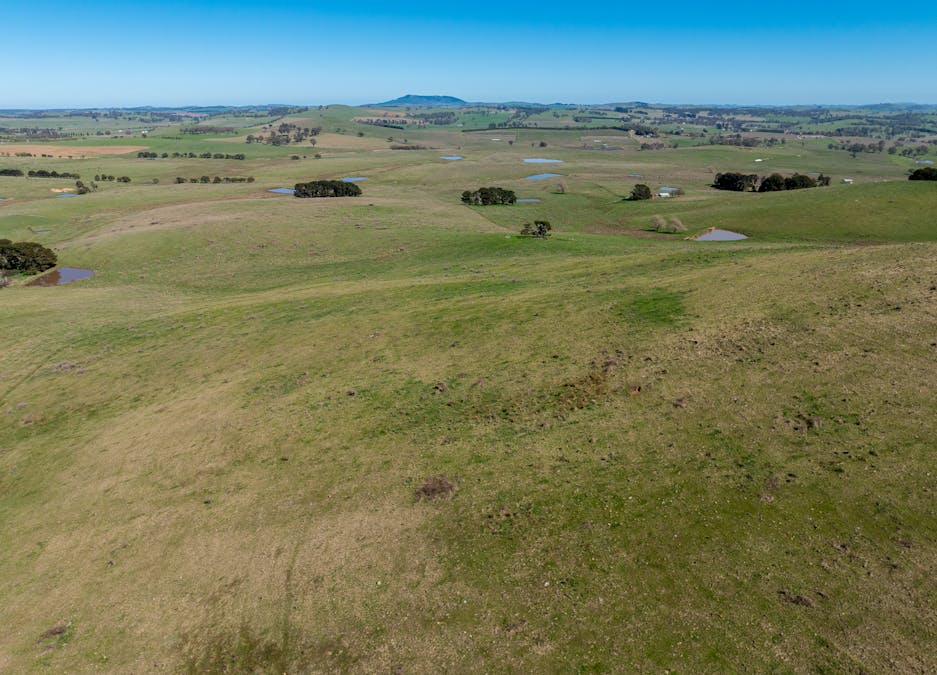 242 Bundaleer Road, Newbridge, NSW, 2795 - Image 18
