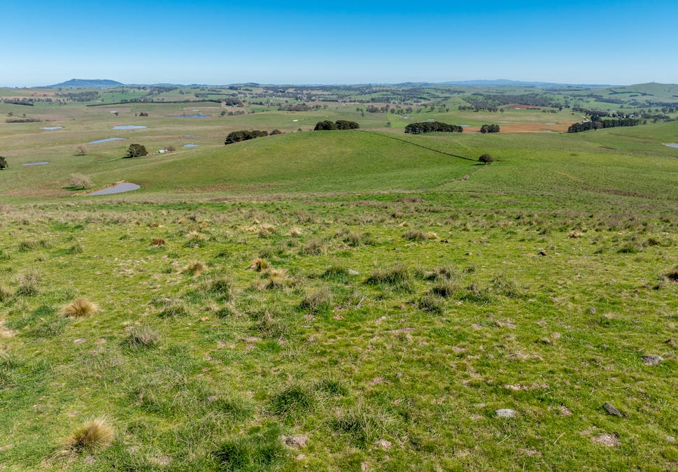 242 Bundaleer Road, Newbridge, NSW, 2795 - Image 2