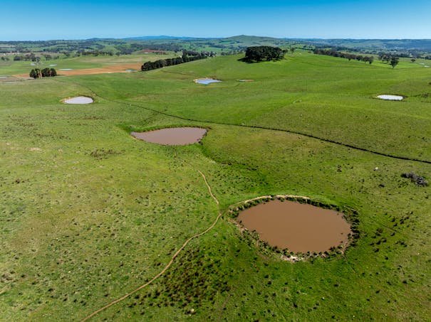 242 Bundaleer Road, Newbridge, NSW, 2795 - Image 1