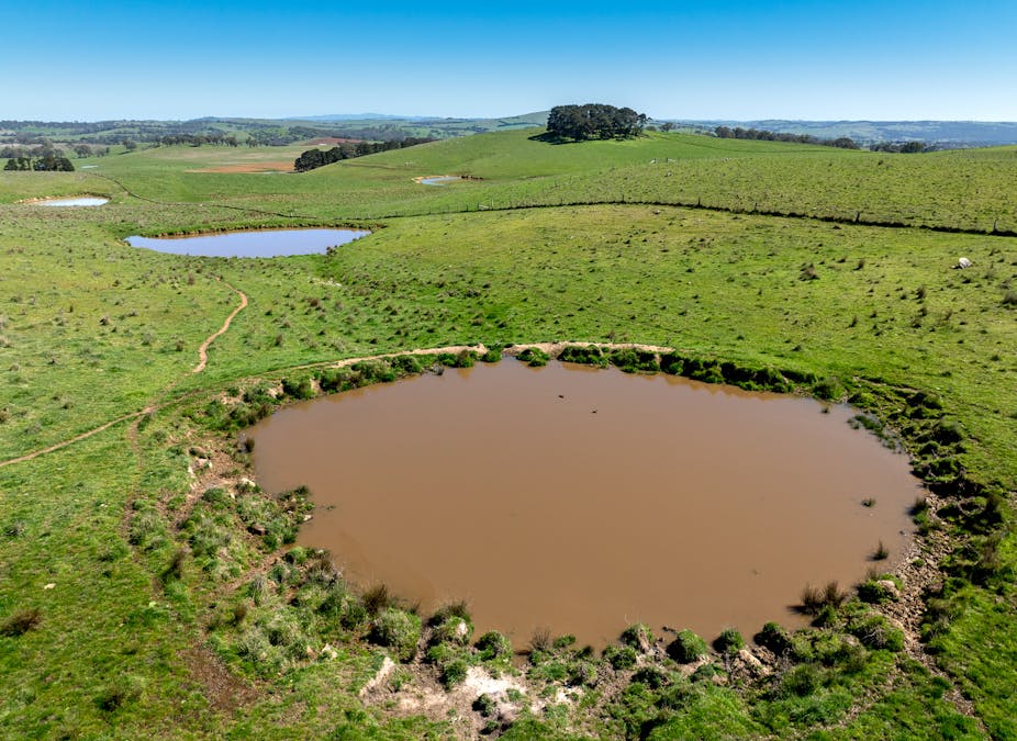 242 Bundaleer Road, Newbridge, NSW, 2795 - Image 7