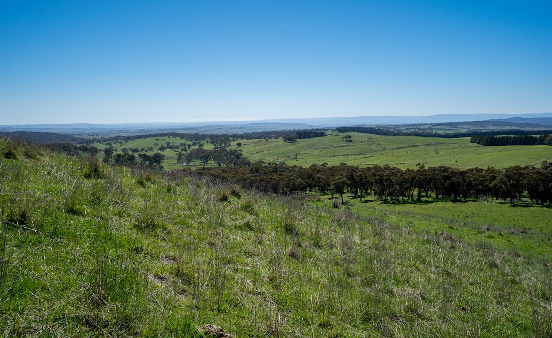 242 Bundaleer Road, Newbridge, NSW, 2795 - Image 22