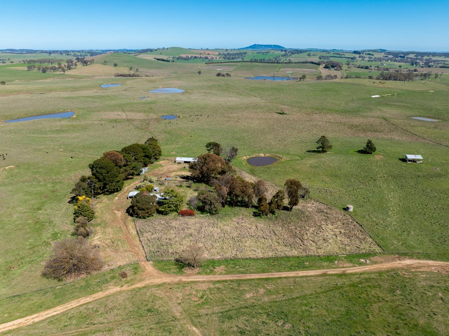 242 Bundaleer Road, Newbridge, NSW, 2795 - Image 16