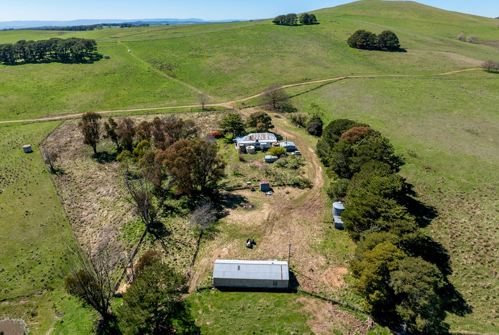 242 Bundaleer Road, Newbridge, NSW, 2795 - Image 5