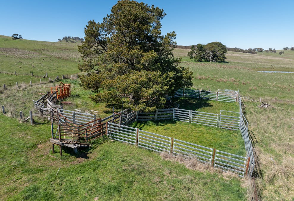 242 Bundaleer Road, Newbridge, NSW, 2795 - Image 15