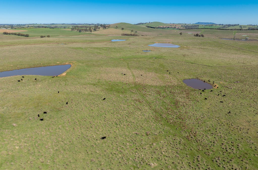 242 Bundaleer Road, Newbridge, NSW, 2795 - Image 6