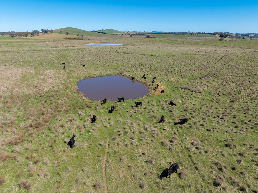 242 Bundaleer Road, Newbridge, NSW, 2795 - Image 13