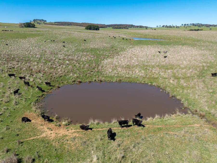 242 Bundaleer Road, Newbridge, NSW, 2795 - Image 14