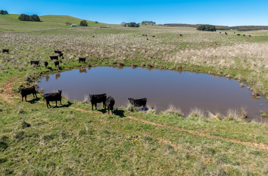 242 Bundaleer Road, Newbridge, NSW, 2795 - Image 3