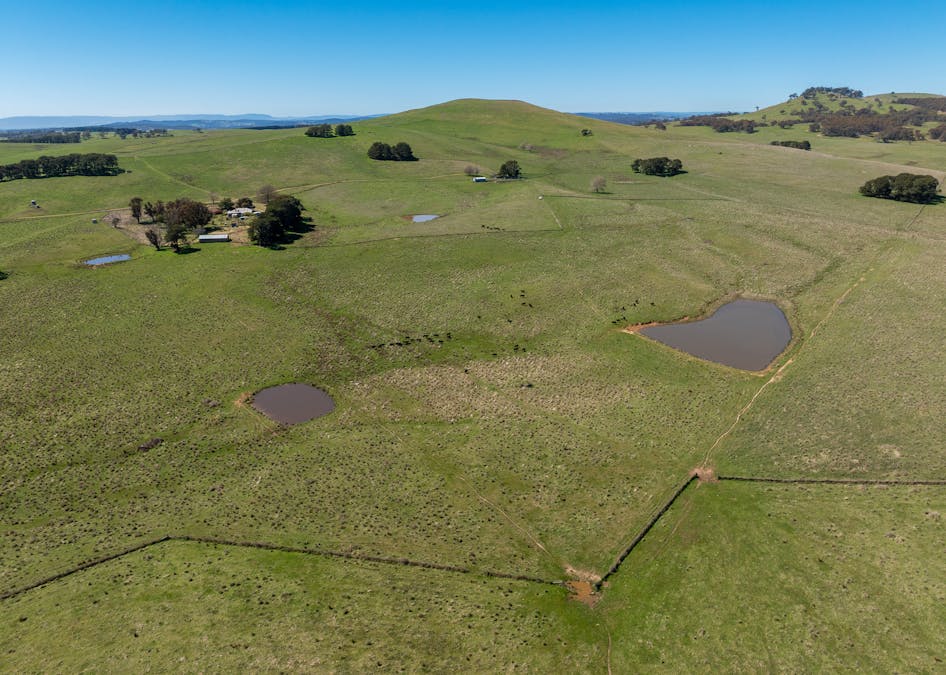 242 Bundaleer Road, Newbridge, NSW, 2795 - Image 19