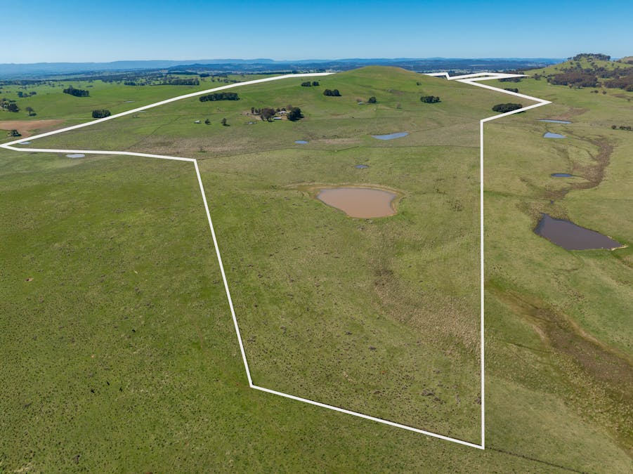 242 Bundaleer Road, Newbridge, NSW, 2795 - Image 4