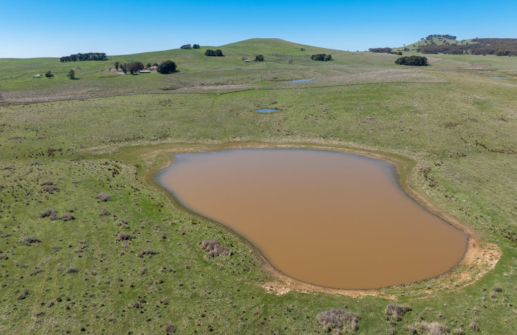242 Bundaleer Road, Newbridge, NSW, 2795 - Image 20