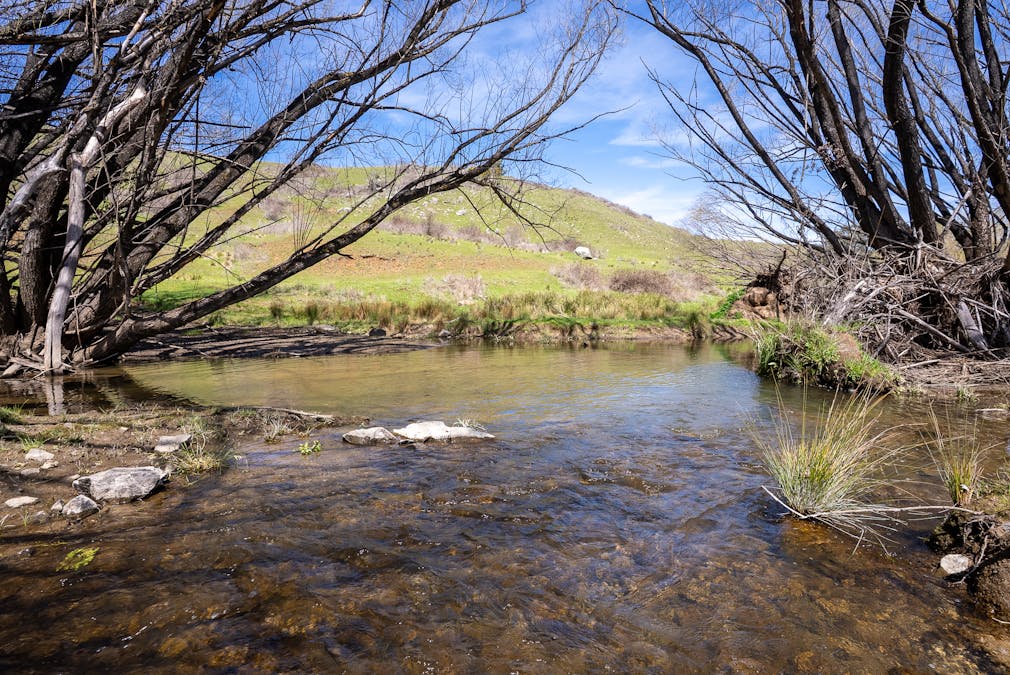 321 Mount Macquarie Road, Carcoar, NSW, 2791 - Image 3