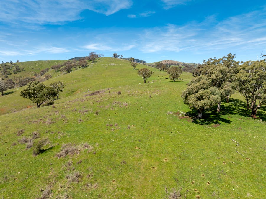 321 Mount Macquarie Road, Carcoar, NSW, 2791 - Image 10