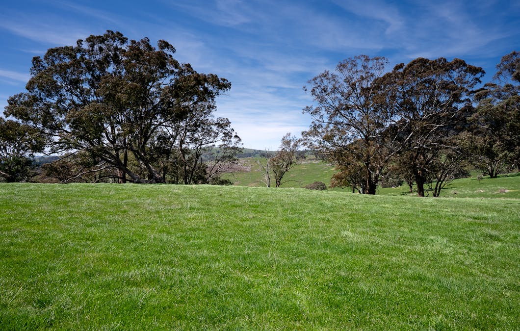 321 Mount Macquarie Road, Carcoar, NSW, 2791 - Image 11