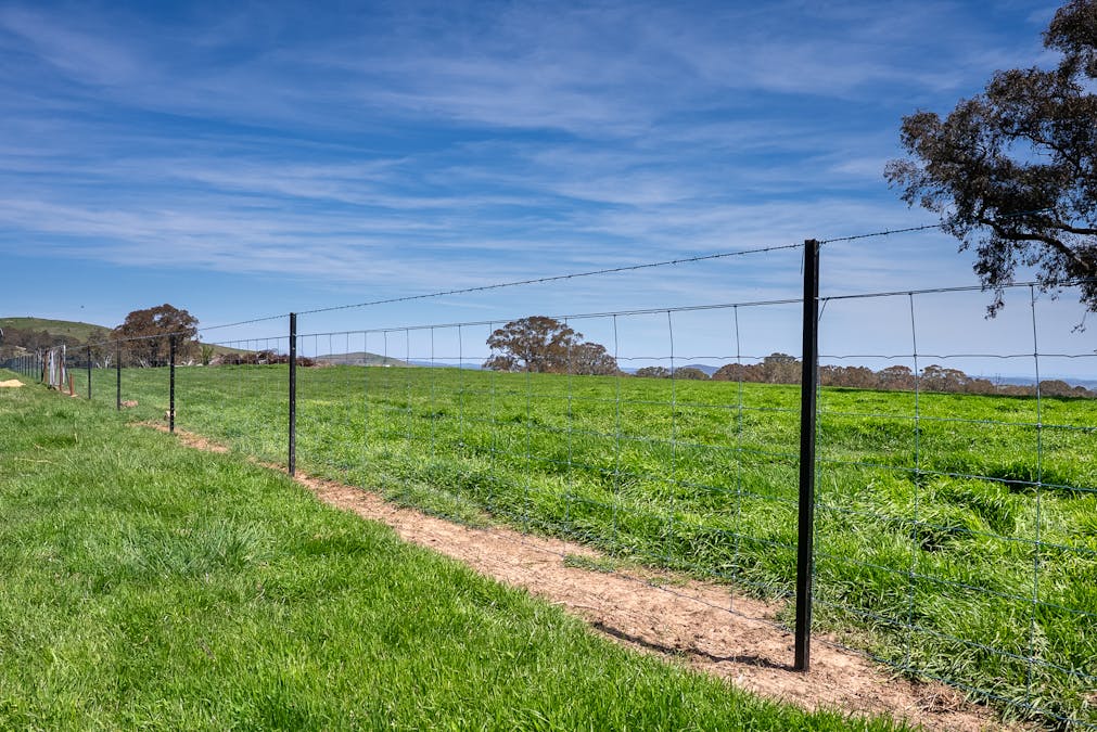 321 Mount Macquarie Road, Carcoar, NSW, 2791 - Image 12