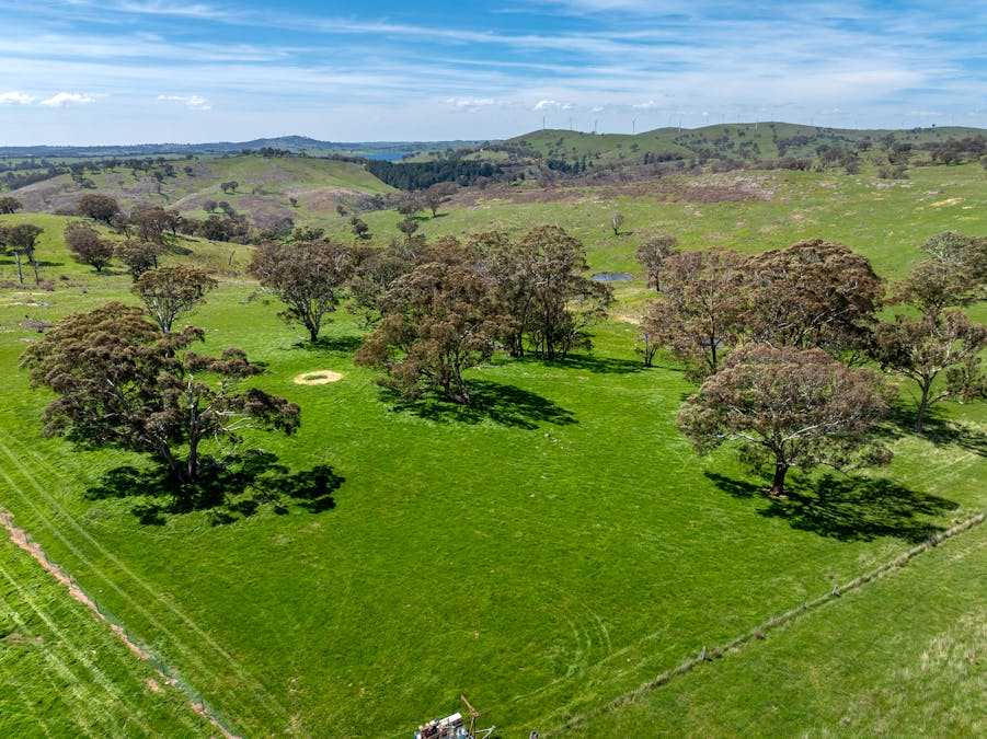 321 Mount Macquarie Road, Carcoar, NSW, 2791 - Image 13