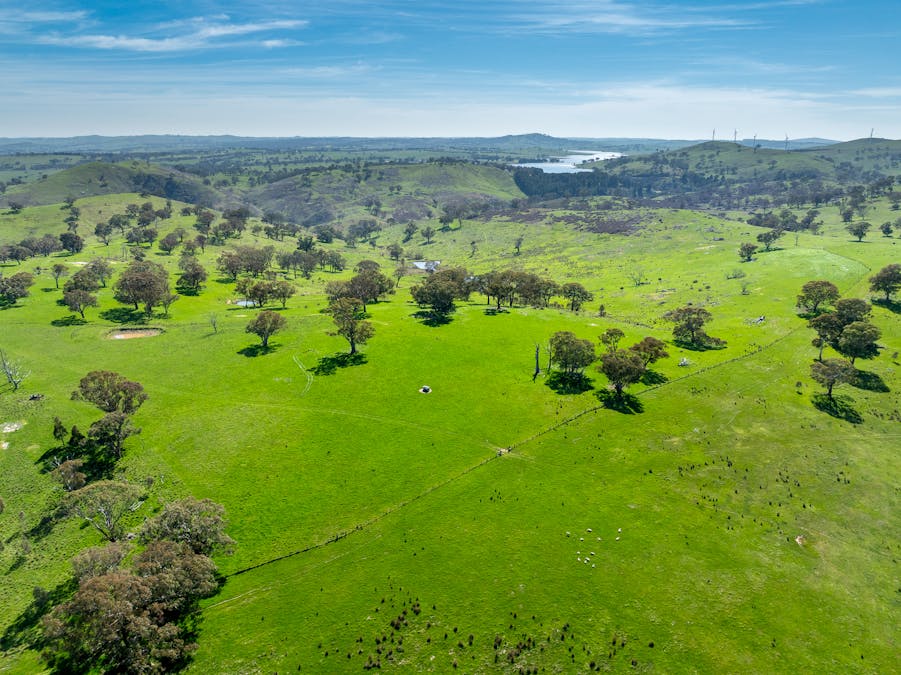321 Mount Macquarie Road, Carcoar, NSW, 2791 - Image 1