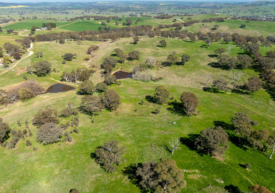 321 Mount Macquarie Road, Carcoar, NSW, 2791 - Image 14