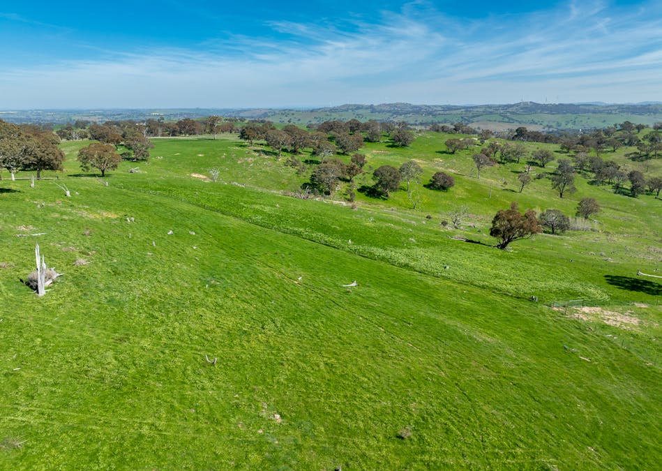 321 Mount Macquarie Road, Carcoar, NSW, 2791 - Image 15