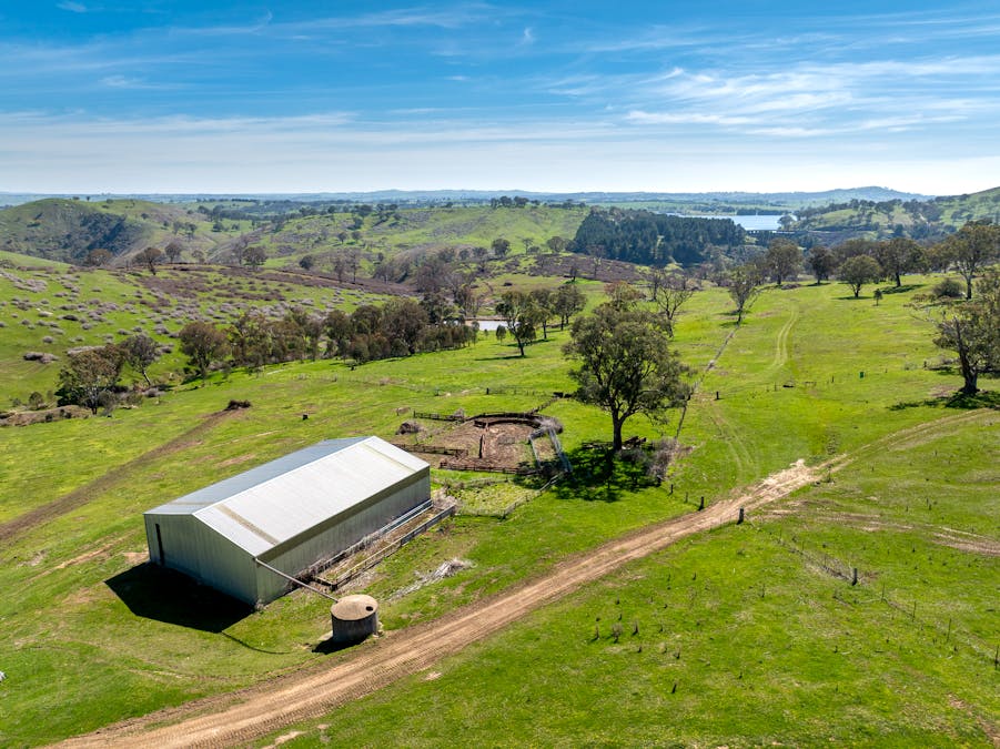 321 Mount Macquarie Road, Carcoar, NSW, 2791 - Image 5