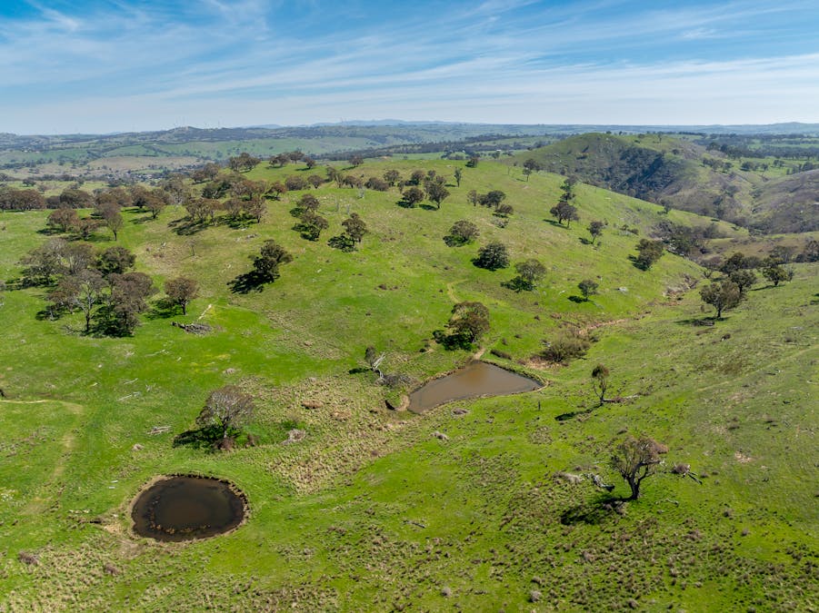321 Mount Macquarie Road, Carcoar, NSW, 2791 - Image 16