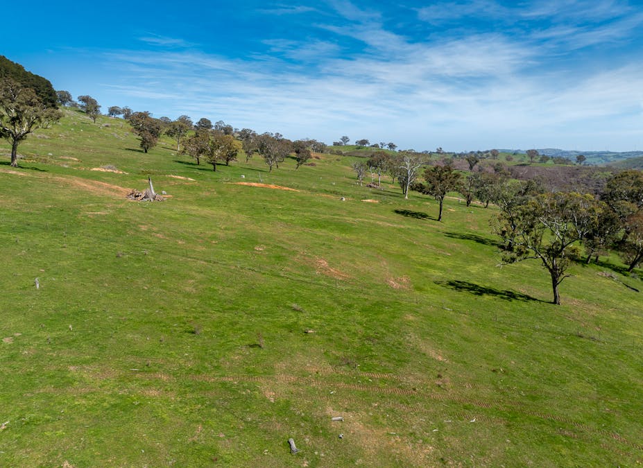 321 Mount Macquarie Road, Carcoar, NSW, 2791 - Image 17
