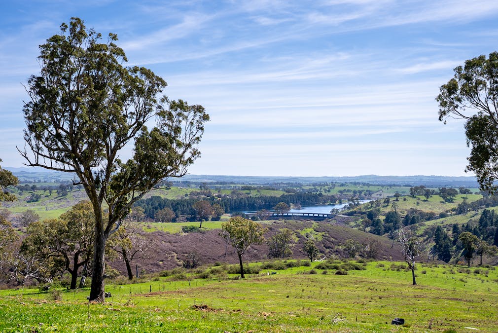 321 Mount Macquarie Road, Carcoar, NSW, 2791 - Image 18