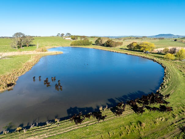 110 & 136 Beneree Road, Tallwood, NSW, 2798 - Image 1