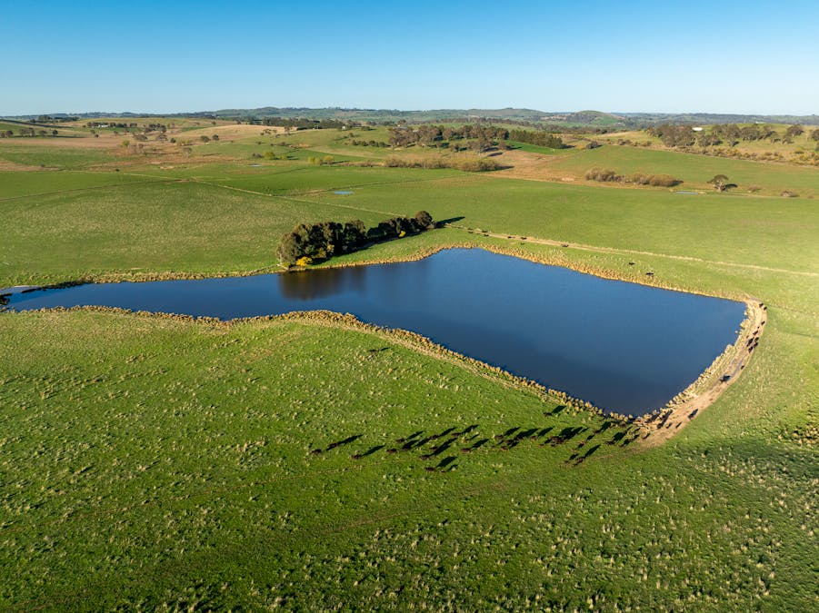 110 & 136 Beneree Road, Tallwood, NSW, 2798 - Image 5