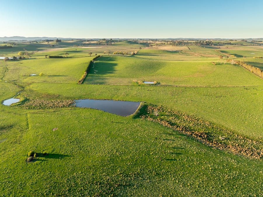 110 & 136 Beneree Road, Tallwood, NSW, 2798 - Image 2