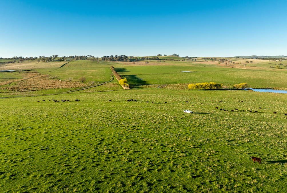 110 & 136 Beneree Road, Tallwood, NSW, 2798 - Image 7
