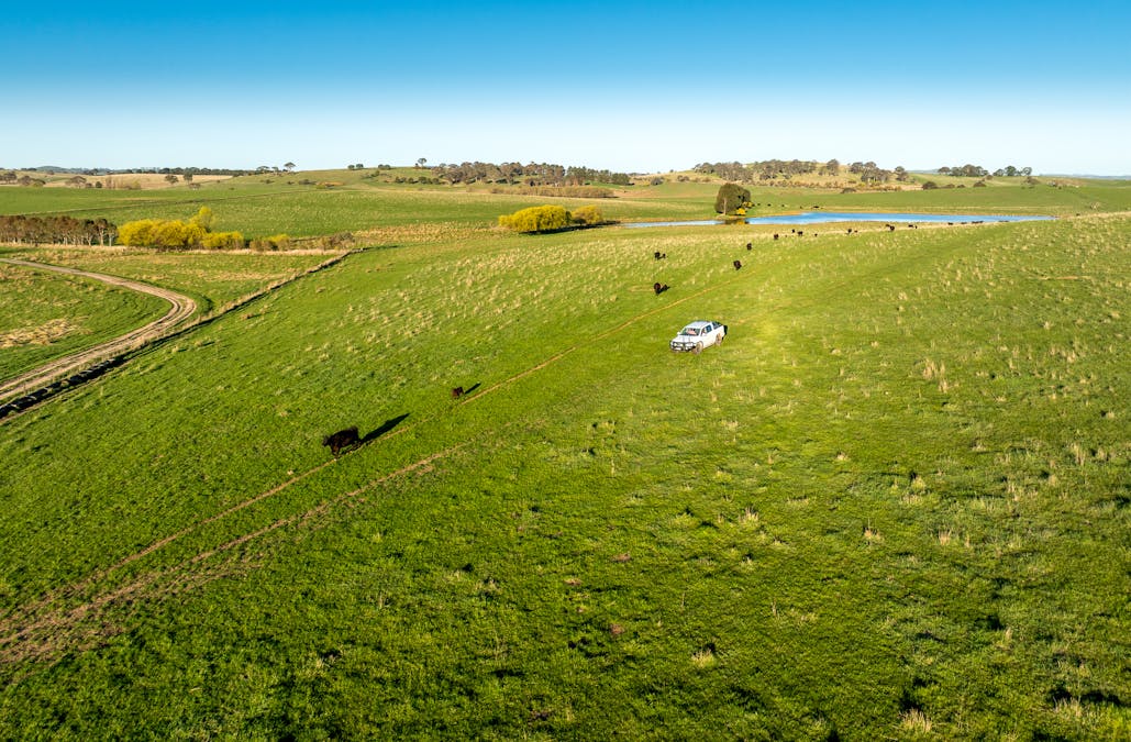 110 & 136 Beneree Road, Tallwood, NSW, 2798 - Image 8