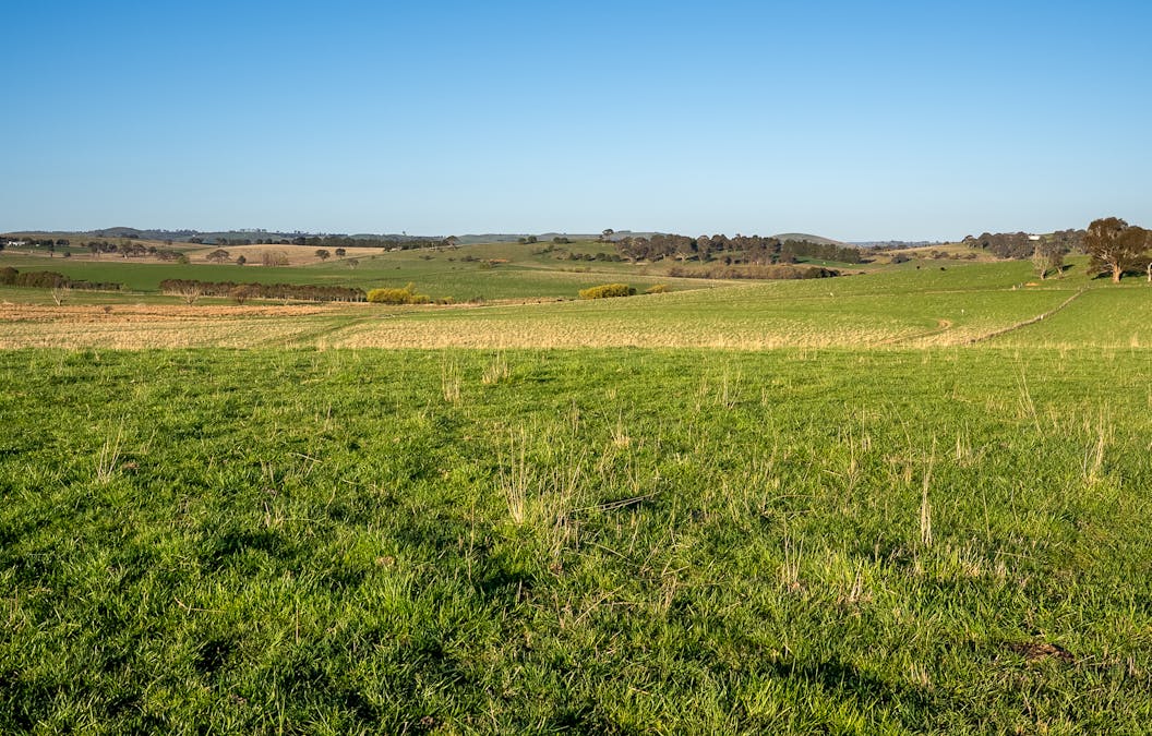 110 & 136 Beneree Road, Tallwood, NSW, 2798 - Image 18