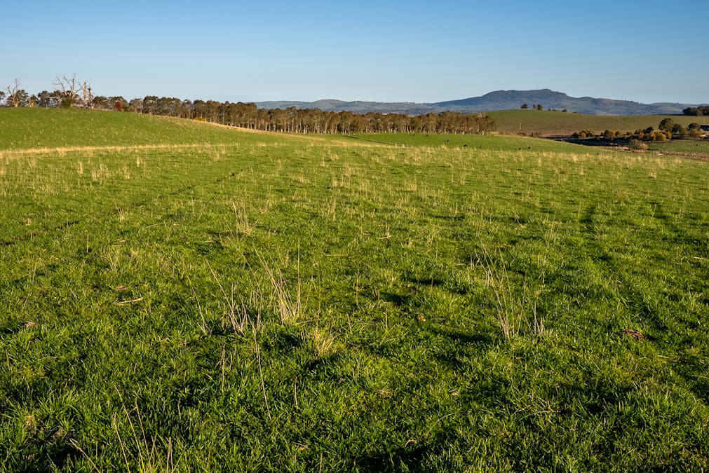 110 & 136 Beneree Road, Tallwood, NSW, 2798 - Image 21